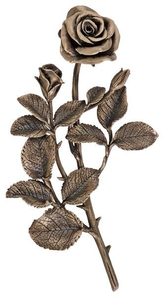 Bronzerose mit Blüten Bronzeton