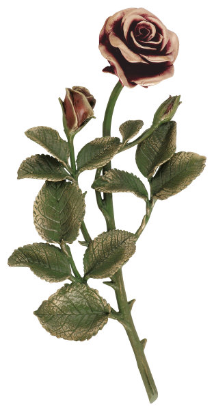 Bronzerose mit Blüten Rot