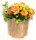 Blumentopf