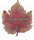 Weinblatt farbig mit Schrift