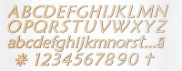 Schriftzüge Elisabeth