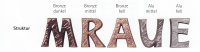 Steinmetzschrift aus Bronze Optima