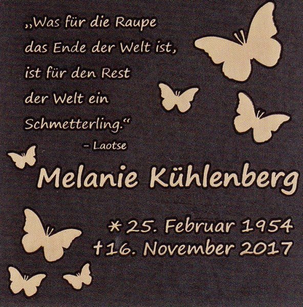 Schrifttafel m. Schmetterlinge