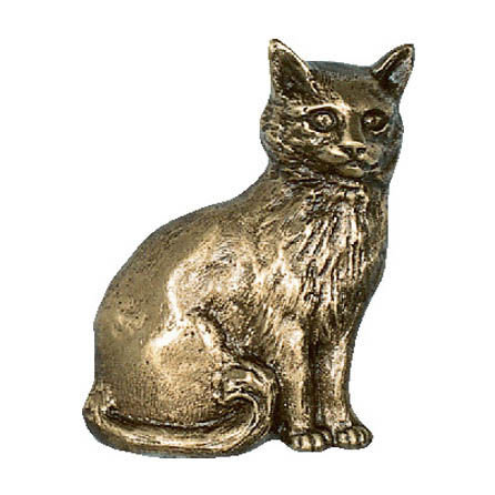 Sitzende Katze