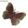 Schmetterling