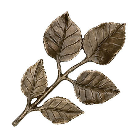 5er Rosenblattzweig