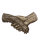 Hand mit Pfote