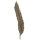 Palme