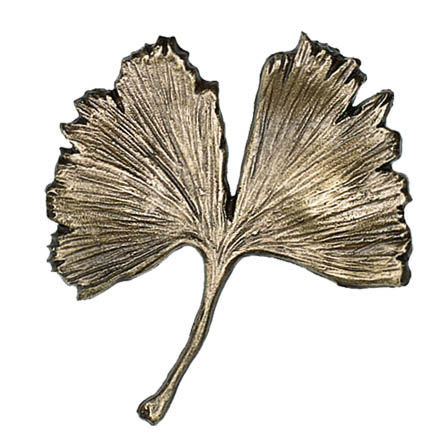 Ginkgo-Blatt