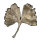 Ginkgo-Blatt