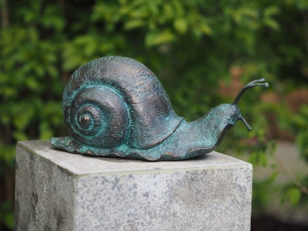 große Schnecke Bronzefigur
