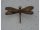 Libelle Bronzefigur