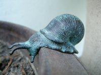 kleine Schnecke Bronzefigur