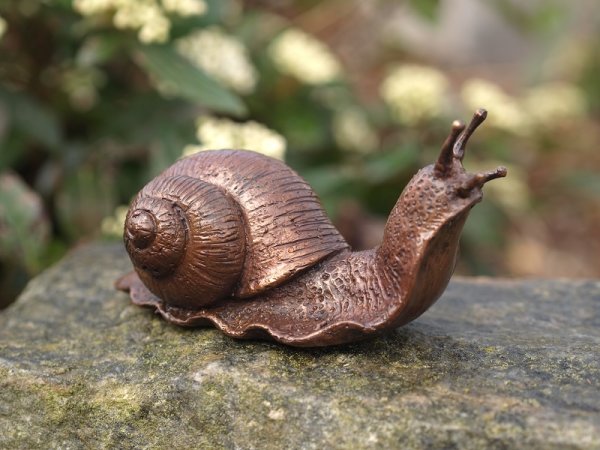 kleine Schnecke Bronzefigur