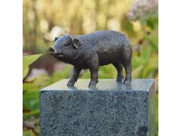 Schwein Bronzefigur