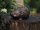 Igel Bronzefigur