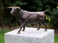 Stier Bulle Bronzefigur