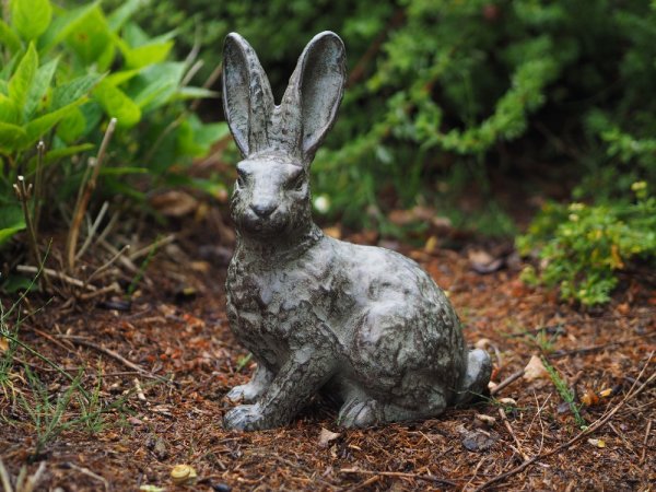Hase Bronzefigur