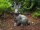 Hase Bronzefigur