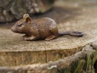 kleine Maus Bronzefigur