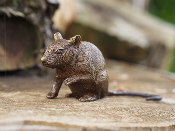 kleine Maus
