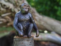 sitzender Affe Bronzefigur