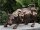 Stier Bronzefigur Walll Street Bulle