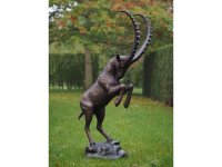 springender Steinbock