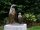 Mutter Pinguin mit Kind aus Bronze