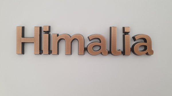 Bronzeschriftzüge HIMALIA