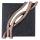 Lebensader