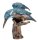 Eisvogel Groß
