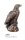 Adler