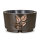 Grabschale mit Rosenornament in 7 verschiedenen Farben 31cm Bronze